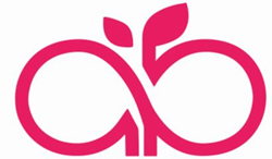 Ana Paula Costa Fernandes