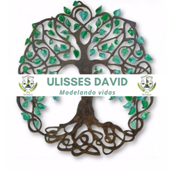 Ulisses Lopes David 