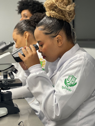 Laiza Gabriela Santana da Glória